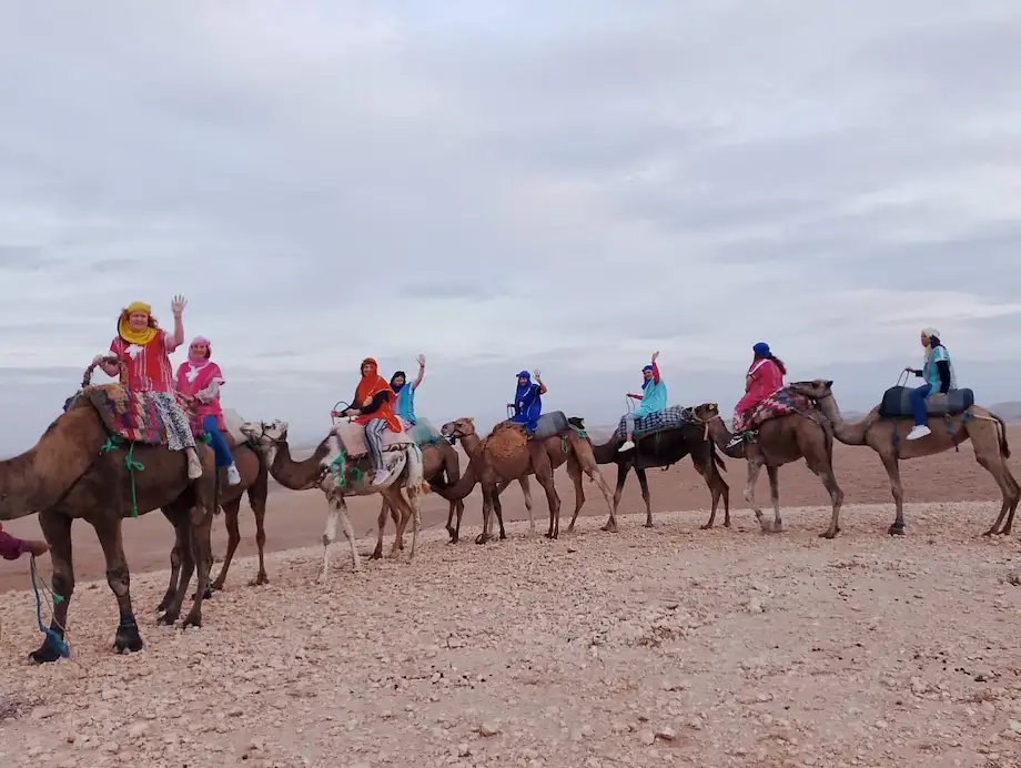 Camel trekking