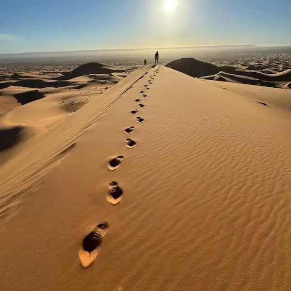 Camel caravan in Merzouga